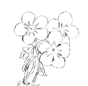 feuilles-picto Fleurs